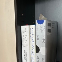 【無料でお譲りします】本棚の画像