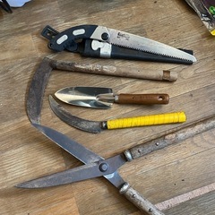 ①ガーデニング 庭の手入れ 除草作業 の画像
