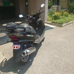 マジェスティ125の画像