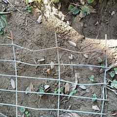 スクリューワイヤーメッシュ　柵　の画像