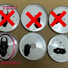 オオクワガタ 佐賀産♀の画像
