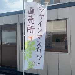 ジャインマスカット直売所