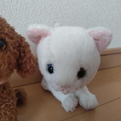 プードル 猫 ぬいぐるみの画像