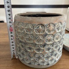 鉢の画像