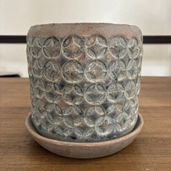 鉢の画像