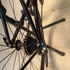 giant tcrの画像