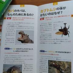 辞書びきえほんの画像