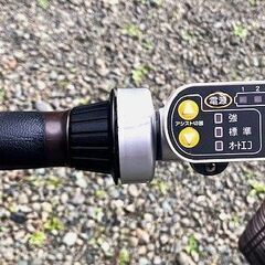 ブリヂストン　電動アシスト自転車　アシスタの画像