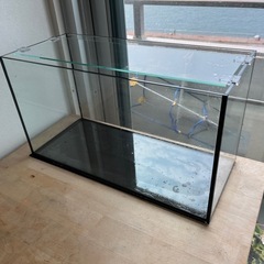 熱帯魚　水槽　フィルター　他の画像