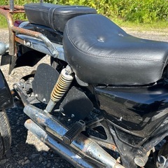 中華トライク250の画像