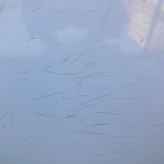東芝 洗濯機 6kgの画像