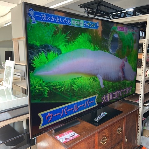 2021年製　パナソニック　液晶テレビ　75型　TH-75X900