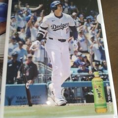 伊藤園×ＭＬＢ大谷翔平コラボ 　クリアファイルの画像
