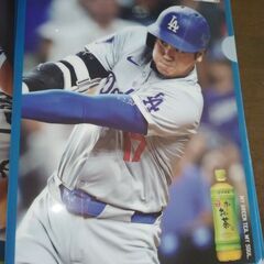 伊藤園×ＭＬＢ大谷翔平コラボ 　クリアファイルの画像