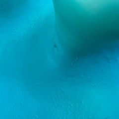 バンボの画像