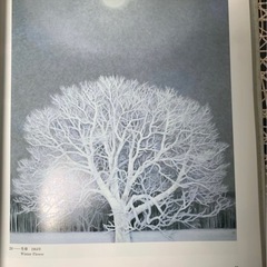 【古書籍】東山魁夷展 米寿記念 図録 絵画作品集 芸術資料 アートブック 展覧会カタログ 美術書 骨董 古書 配送可能 の画像