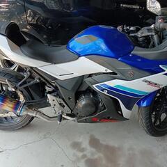 GSX250Rの画像