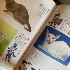 ひみつシリーズの画像