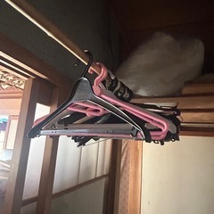 ハンガーたくさん　他にも色々の画像