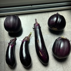 丸茄子✖️長茄子✖️茄子６個の画像