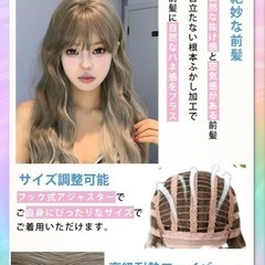 ウィッグの画像