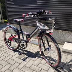 自転車　ブリジストン(子供)の画像