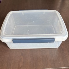 パッキン付きタッパー5.6Lの画像