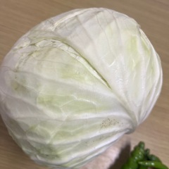 キャベツ　なんばんの画像