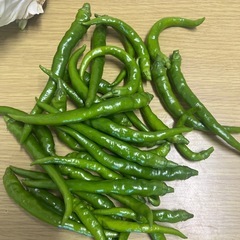 キャベツ　なんばんの画像