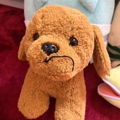 ぬいぐるみ　まとめての画像