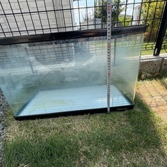 【60cm水槽セット】🐟ニッソー／テトラ※使用3年以内の画像