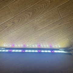 LEDライトなど（熱帯魚、爬虫類）の画像