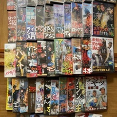 特別付録 特典　DVD 海釣り　アジング　エギング　タイラバ　ショア　の画像