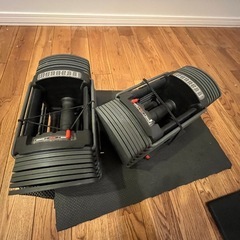可変式ダンベル、ベンチ、マットのセットの画像