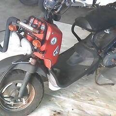 HONDA ズーマー 赤 エンジン始動確認 自賠責保険で乗れます 半額配送キャンペーン 期間限定 現状渡し諸経費￥0- 横浜 P-Yardの画像