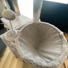 決まりました。キャットタワーあげます。 説明読んでください
の画像