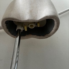 レディース　トルソーの画像