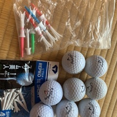 【Callaway正規品】レディースゴルフクラブ&
バッグの画像