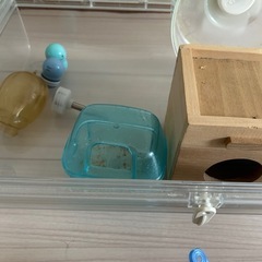 ハムスター飼育道具の画像