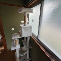キャットタワーの画像