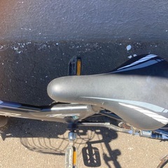 子供用自転車(20インチ)　FORTERA(フォルテラ) ZERO  の画像