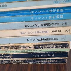 ゼンリンを含めた地図の画像