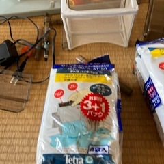 メダカ　水槽の画像