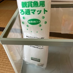 メダカ　水槽の画像