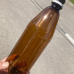 自作クラフトビール用　ペットボトル　中古の画像