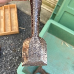 ノミ
の画像