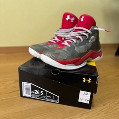 カリー 2.5 26.5cmの画像