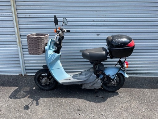 スズキ　チョイノリ