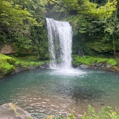 探してます