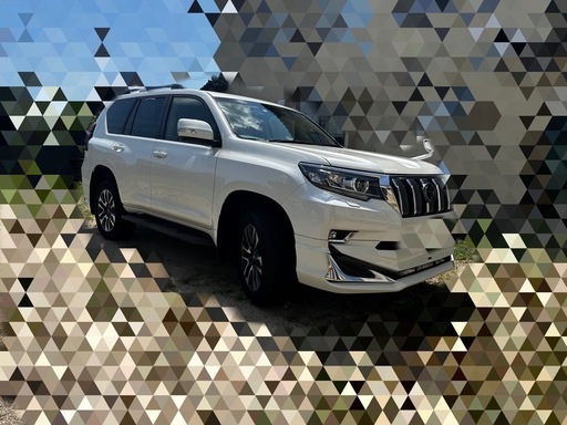 完売御礼【モデリスタ】プラドTX